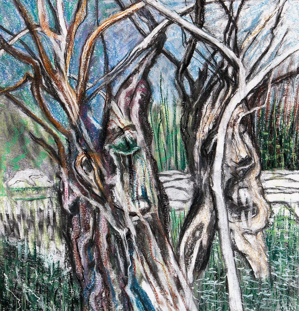 1000 heads and skulls : # 396-397 (old olive trees, Mallorca)