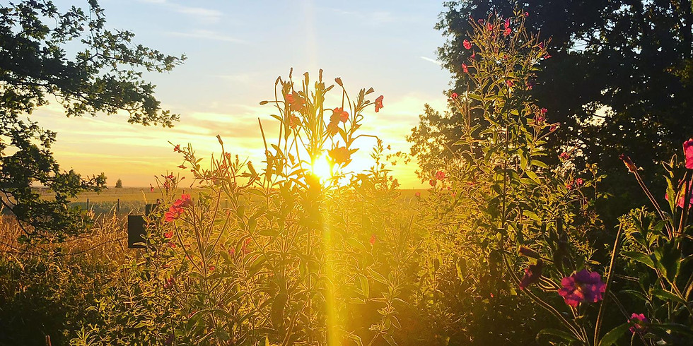 SOLD OUT | Yoga Camping Trip in Essex | Aug