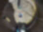 IMG_8976.JPEG