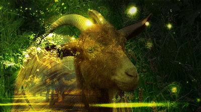 gate.gif