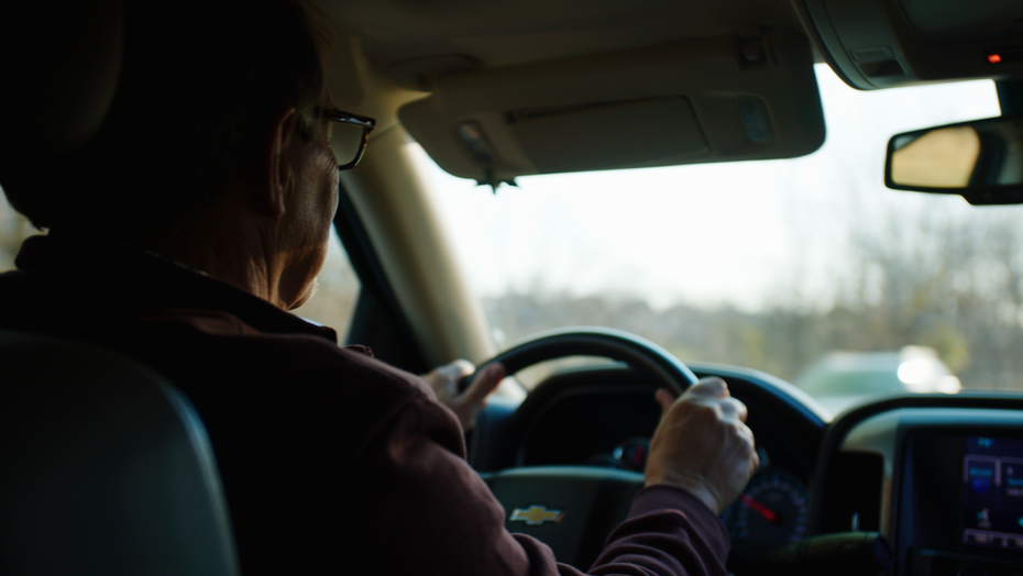 PreciDent JL_1.53.1.png