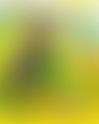 Contrapsicología: ecos de críticas y cuestionamientos sobre la normalidad psi