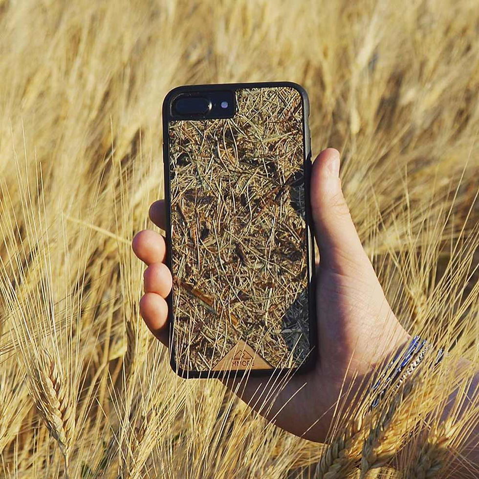 Thumbnail: Organic Alpine Hay Phone Case – Eco-Friendly Biodegradable Design