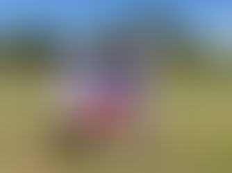 Hot off the press.... Winners in Denarau