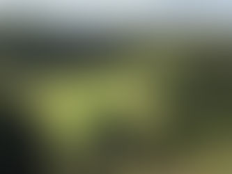 Rd 2 Results - 2026 Fiji Marriott Invitational