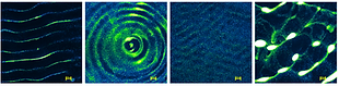 Screenshot 2022-01-07 at 18.28.38.png