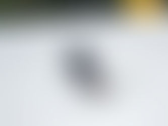 31.351 Höhenmeter an einem Tag: Wahnsinn in Hochfügen! 🚀❄️