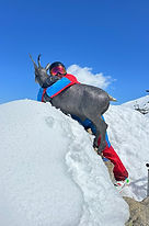 WhatsApp Image 2026-04-16 at 13.15.19.jpeg