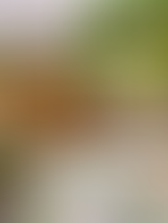 Examples of outdoor Boho Wedding Vibe