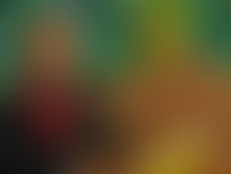 "The world of Frida" follow-up! A travelling exhibition through the States with one of my