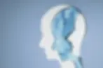 Therapeutic Approaches At Wholesome Mind Psychiatry And Wellness Clinic