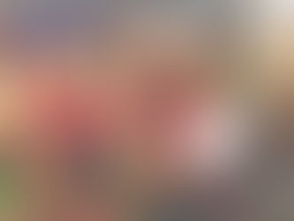 Traditional Dorset Festive Entertainment