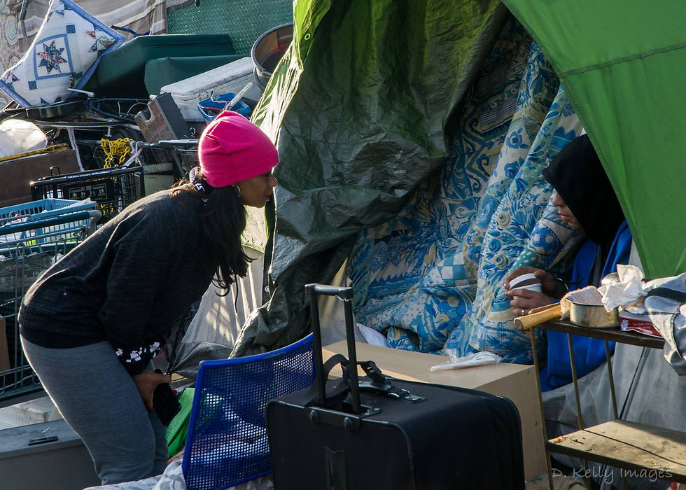 egoz Outdoors egoz Sleeping Bags sleeping bags for homeless