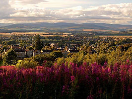 Ivarty Consulting deliver project for NHS Tayside