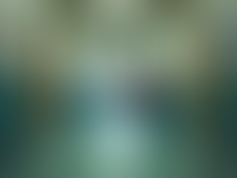 Proven Strategies to Prevent Bullying