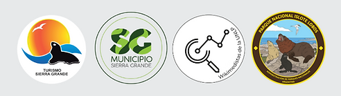 tira de logos.png