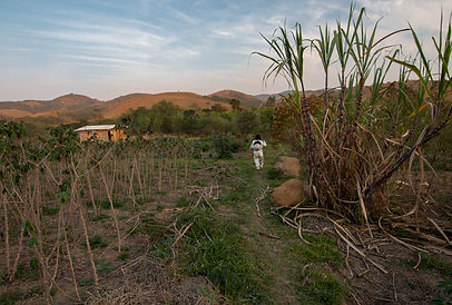 Special Reporting Project_Agroecology_Inaê Guion (38).JPG