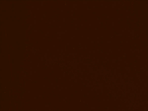 Lost_Farm_16x9_FNL_1