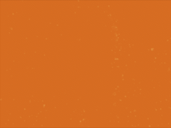 2025 Predictions Guide Revenue Champion_V1_1