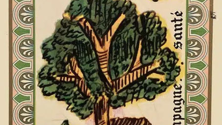 9 - Campagne - Santé