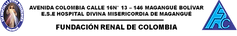 unnamed (4) - copia.png