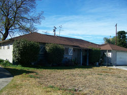 Front Yard Landscape Before Rehab