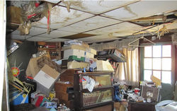 Drop The Dropped Ceilings