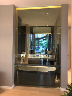 Project: Riviere Showflat