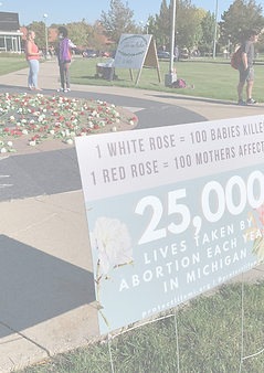 Outreach Page Wix Designs (4).png