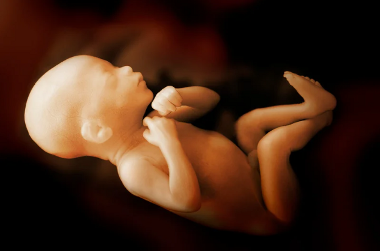 Screenshot 2025-05-15 at 11.16.59 AM.png