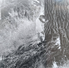 #82: Tree Worship Revival