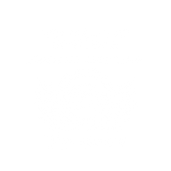 Certificate of EXCELLENCE (1).png