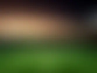 No Australian Cricket to be Played on Australia Day 2026