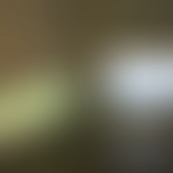 April critiques: Preparation, installation, statements and reflections.