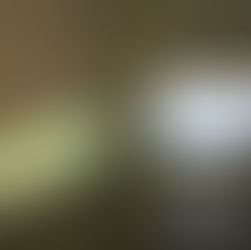 April critiques: Preparation, installation, statements and reflections.