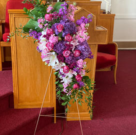 IMG_3421.jpeg