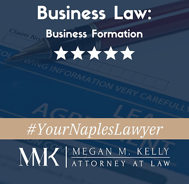 Curated visual reference: Visual Reference: Business Formation Attorney In Naples
