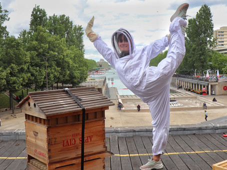 Soutenir les abeilles // Biodiversité