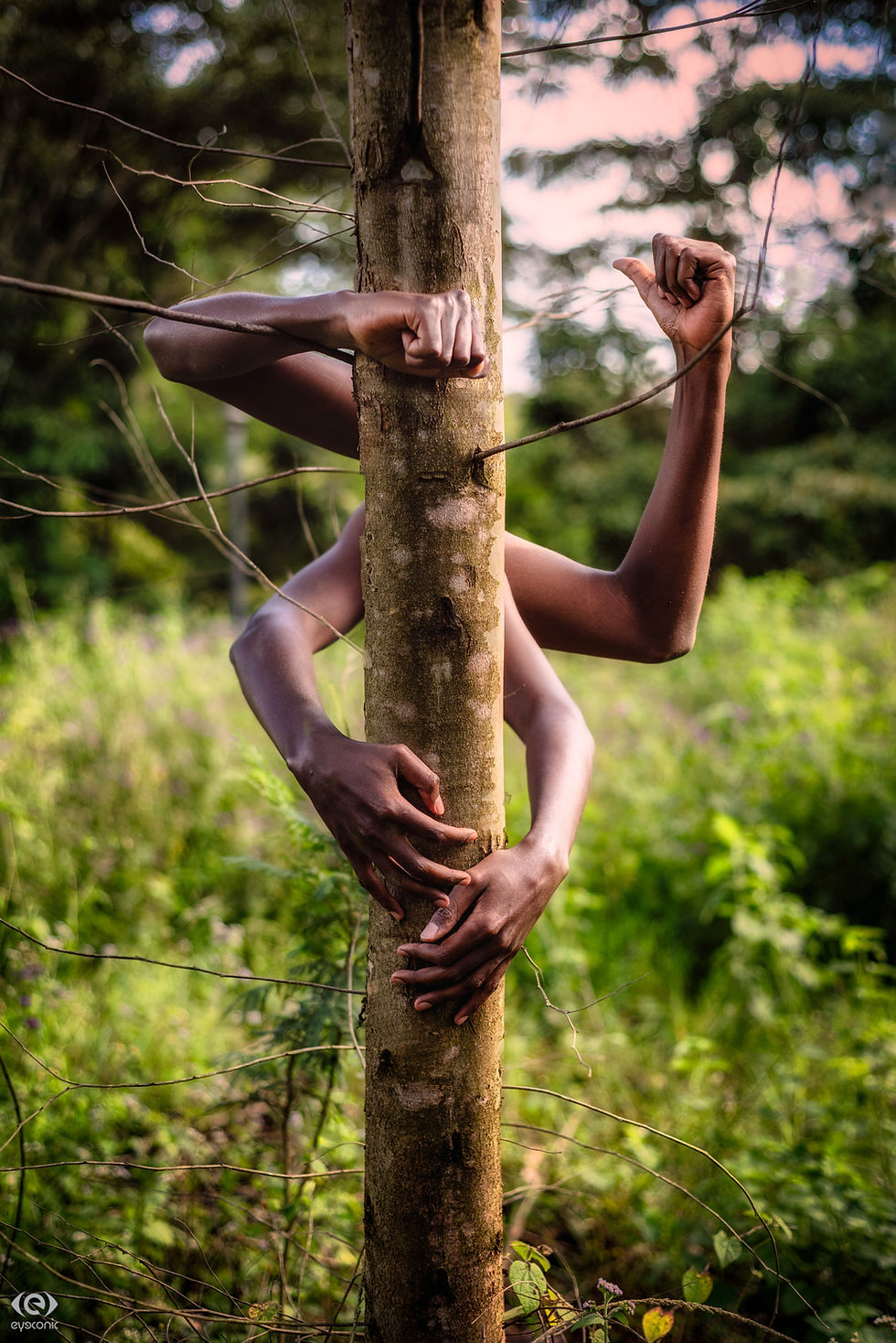 2018 Year-in-Review [25] - A show of Hands