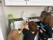 Chocolate, problem solving, and personhood…