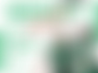 SVT-Damen kommen kampflos zu 3 Punkten