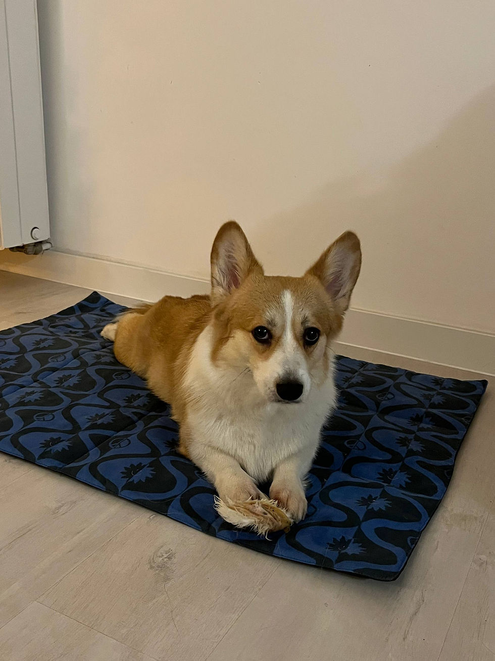 Прев'ю: Килим On Wave