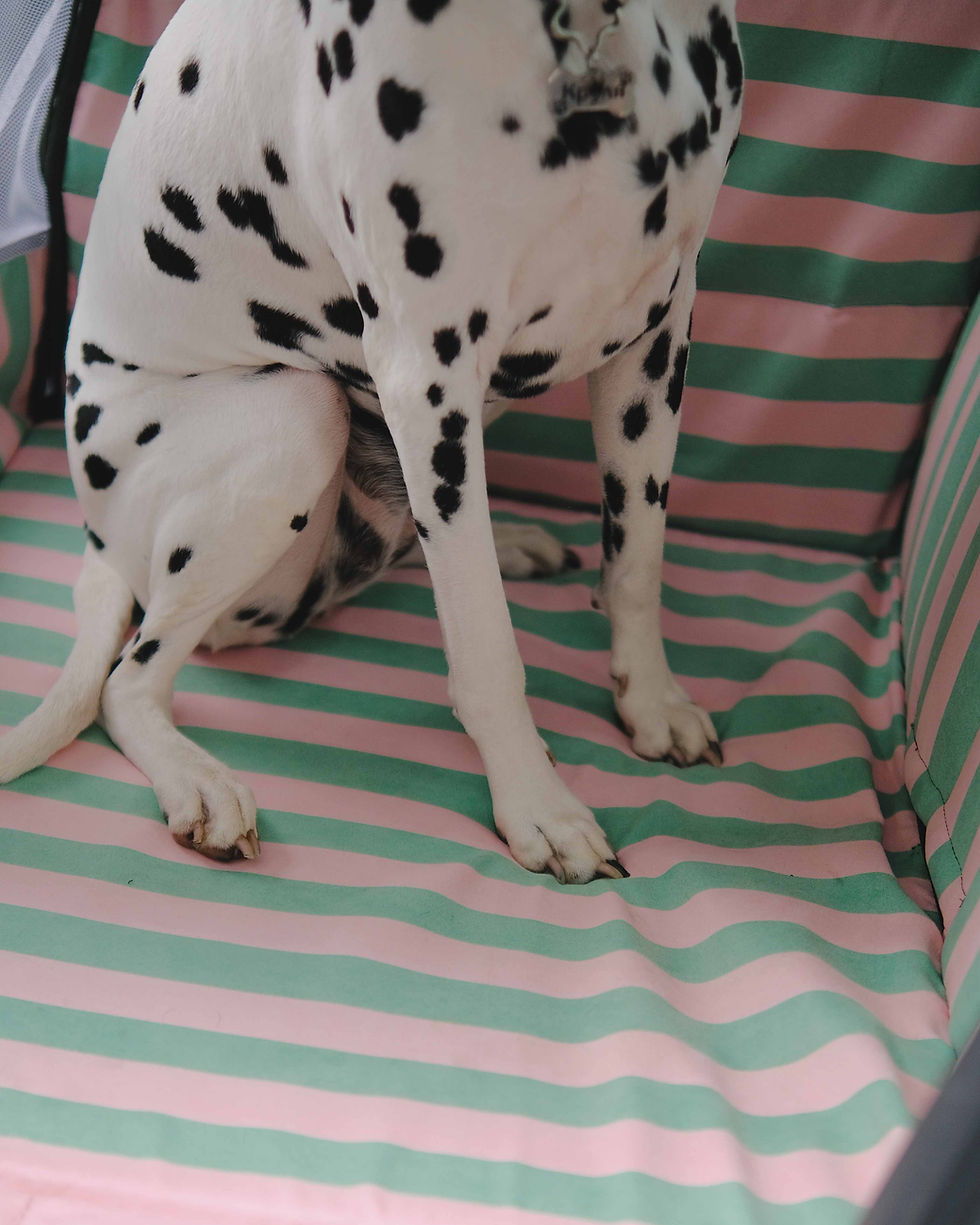 Прев'ю: Автогамак Watermelon