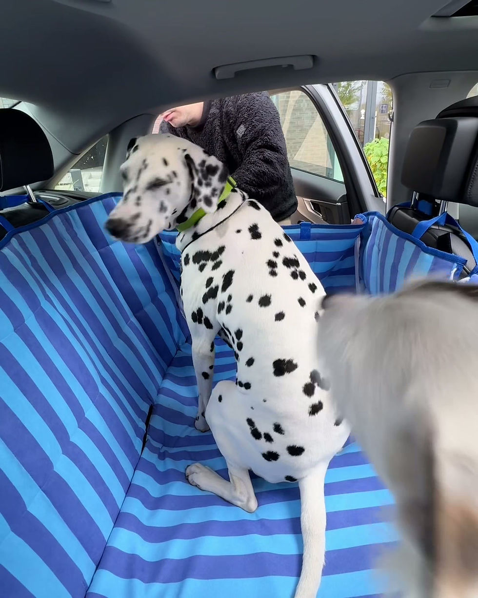 Thumbnail: Car Hammock Snousey × HeyJune  L