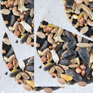 By Ian Jeffs - loads of seeds
