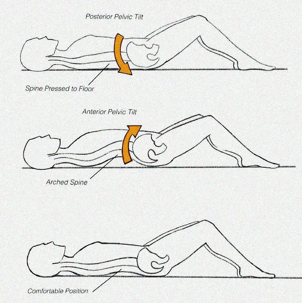 Eye-level view of a person practicing Pilates with a focus on back and neck alignment