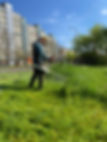 E17A7CC9-648F-4C8E-826B-FA03792488B5_1_105_c.jpeg