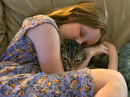Pets as part of your family