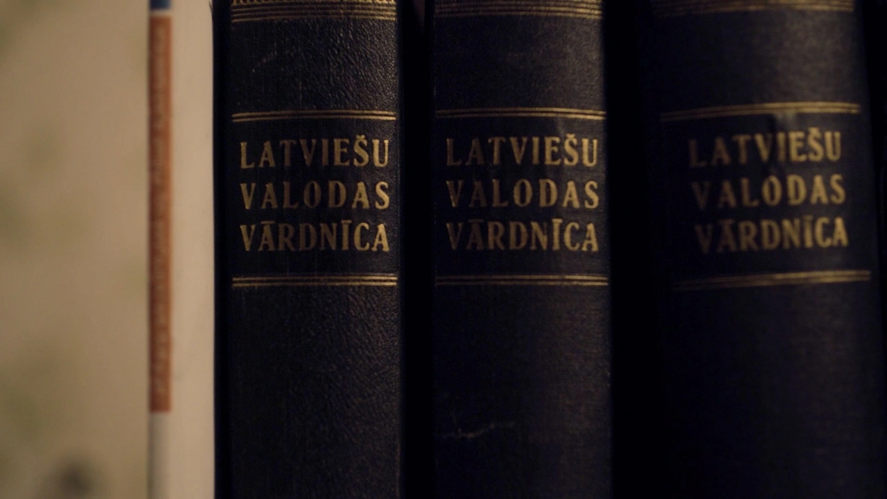 Directed by Daiga Bitena. DOP Arturs Sulbergs / Artūrs Šulbergs. Uldis Berzins / Uldis Bērziņš : Library (2019). Episode from "The Library" featuring Uldis Berzins - critically acclaimed literature translator and poet.