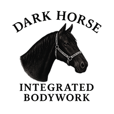 Dark Horse Integrated Bodywork provides specialized and advanced equine bodywork to horses